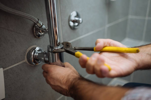 Best Affordable Plumbing Services  in Fruitport, MI